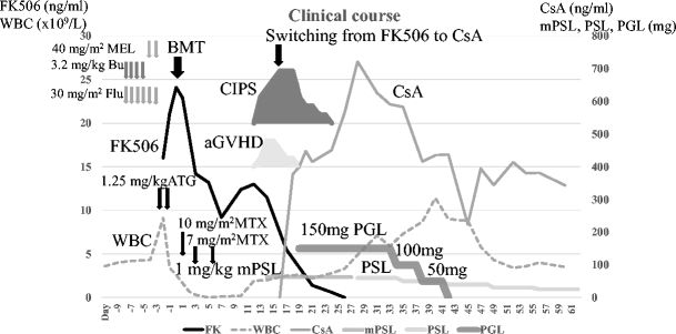 Successful Treatment Of Calcineurin Inhibitor Induced Pain Syndrome With Acute Graft Versus Host Disease By Switching Calcineurin Inhibitors Followed By Pregabalin Springerlink