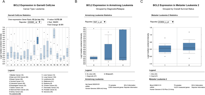 leukemia patients life expectancy