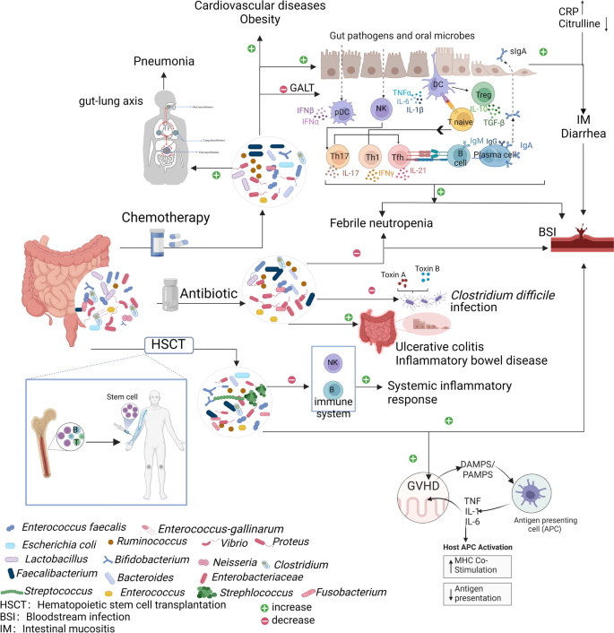 Staphylococcal Infections - StoryMD