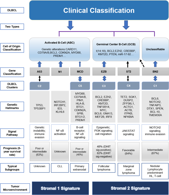 Advances in biology, diagnosis and treatment of DLBCL | Annals of ...