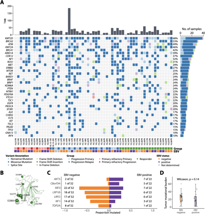 The mutational landscape and its longitudinal dynamics in relapsed and ...