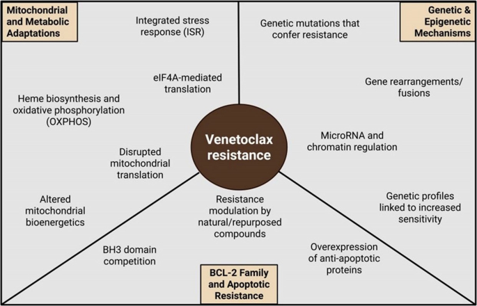 Phytochemicals in overcoming venetoclax resistance in acute myeloid ...