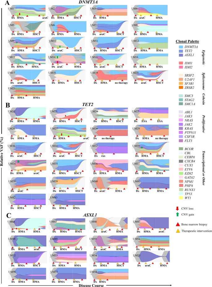 Portraits of clonal hematopoiesis in DNMT3A/TET2/ASXL1-mutant ...