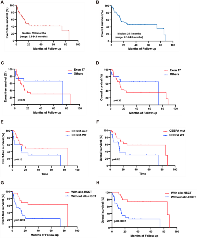 KIT Mutant/Core binding factor-negative acute myeloid leukemia might be ...