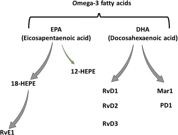 The resolution of inflammation through omega-3 fatty acids in  atherosclerosis, intimal hyperplasia, and vascular calcification |  SpringerLink
