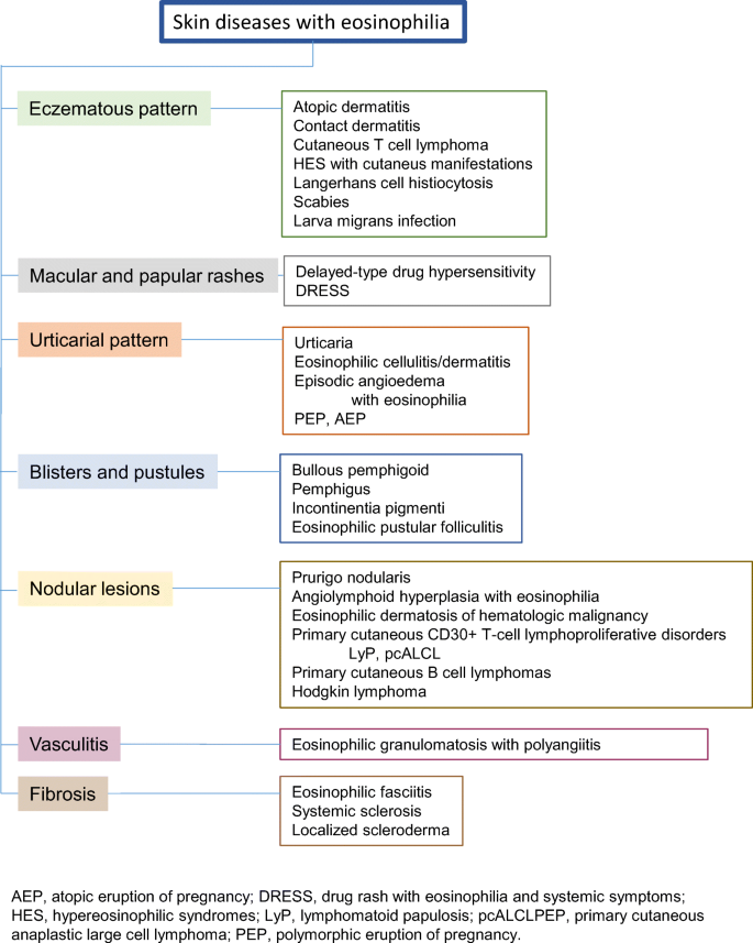 Eosinophils in skin diseases | SpringerLink