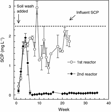 Sulfachloropyridazine (SCP) effects on anaerobic microorganisms