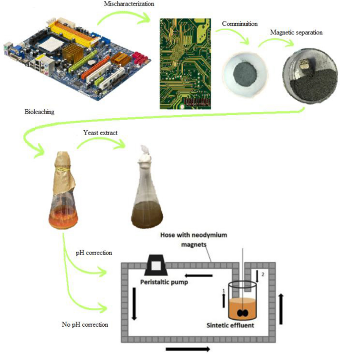 Biolixiviation of Metals from Computer Printed Circuit Boards by  Acidithiobacillus ferrooxidans and Bioremoval of Metals by Mixed Culture  Subjected to a Magnetic Field | SpringerLink