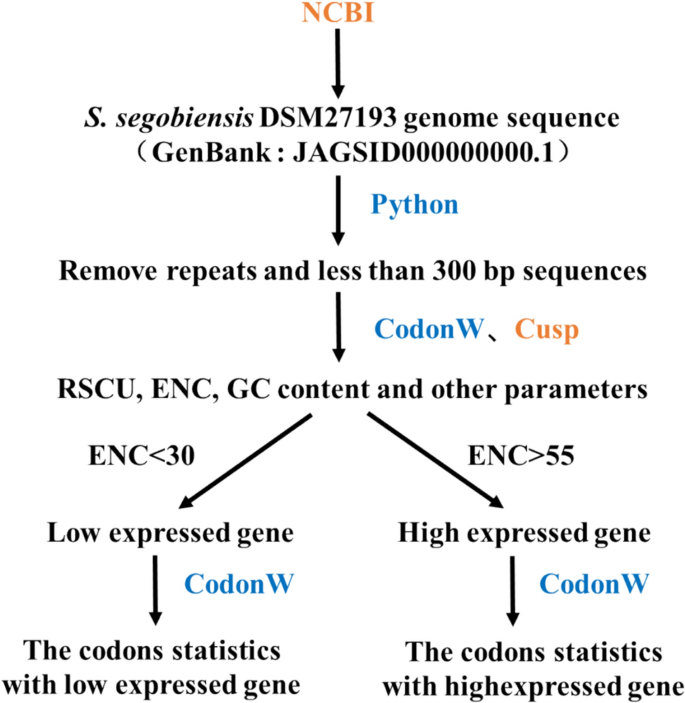 Analysis of Codon Usage Patterns in a Rare Palmitoleic Acid Production ...
