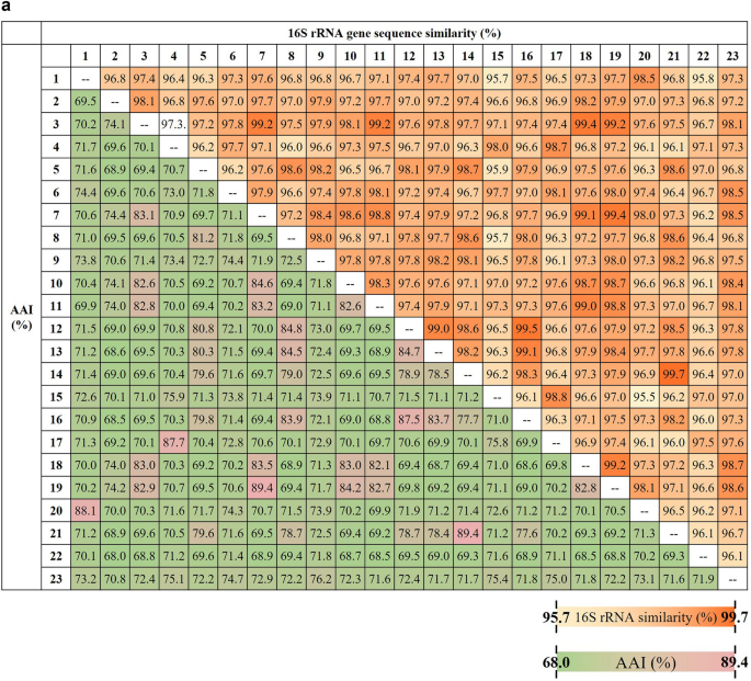 Three Novel Bacterial Species, Roseateles flavus sp. nov., Roseateles