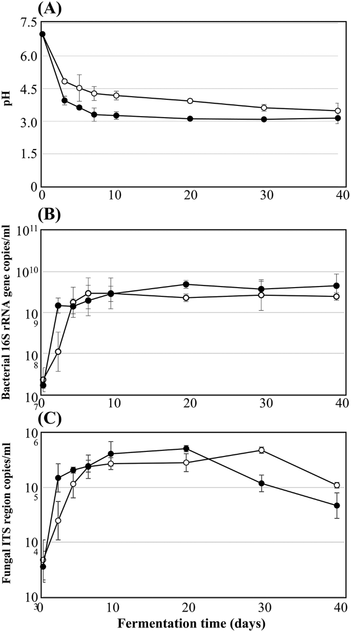 Microbial and Metabolic Dynamics during Fermentation of Vinegar with ...