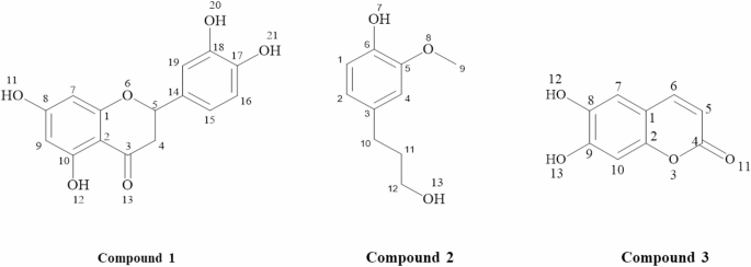Filicin Isolation, Characterization, and Modes of Action of Antifungal ...