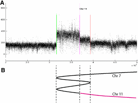 figure 11