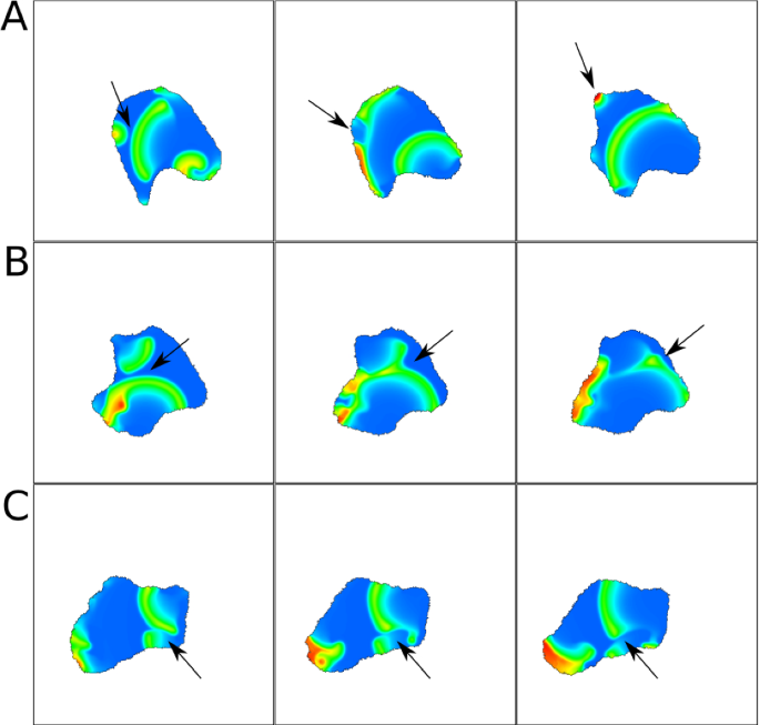 figure 20