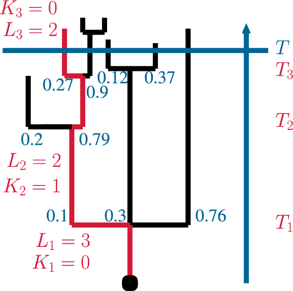 Ancestral reproductive bias in continuous-time branching trees under ...