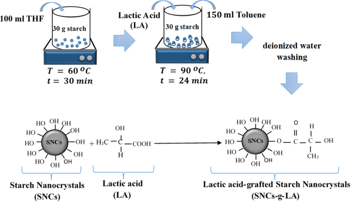Chemical compatibility of lactic acid-grafted starch nanocrystals (SNCs)  with polylactic acid (PLA) | SpringerLink