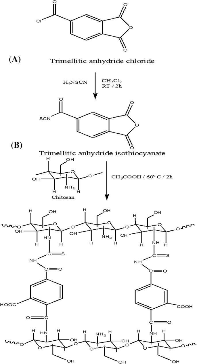 Enhancement Of Adsorption Of Congo Red Dye Onto Novel Antimicrobial Trimellitic Anhydride Isothiocyanate Cross Linked Chitosan Hydrogels Springerlink
