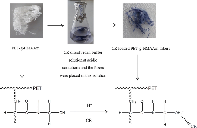 Synthesis And Characterization Of Poly Ethylene Terephthalate Fibers Grafted With N Hydroxymethyl Acrylamide By Free Radical Its Application In Elimination Of Congo Red Springerlink