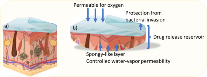 Multifunctional polymeric wound dressings | Polymer Bulletin | Springer Nature Link Multifunctional polymeric wound dressings | Polymer Bulletin | Springer Nature Link