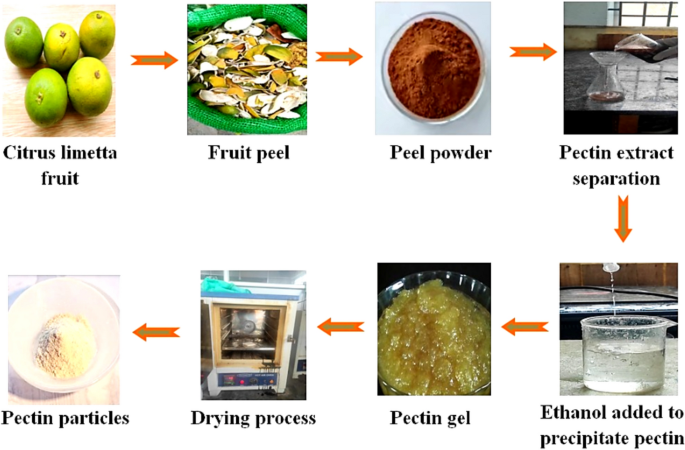 Investigations on load bearing, wear, and thermal conductivity behavior ...