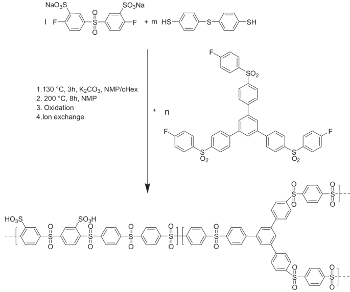 Novel branched sulfonated poly(phenylene sulfone)s for PEM-water ...