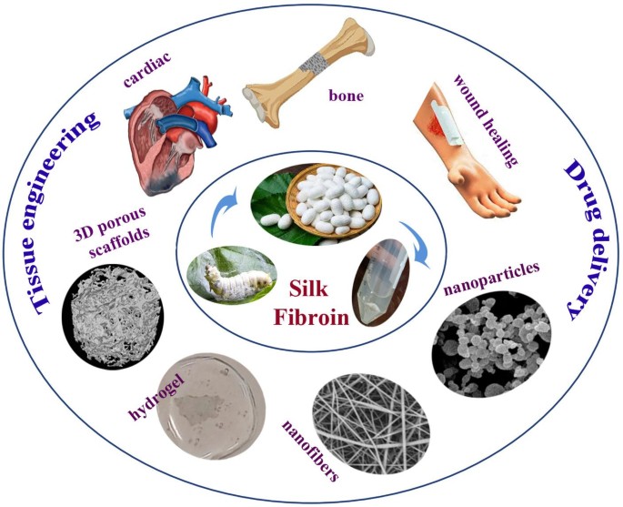 Tissue regeneration and controlled drug delivery mediated by silk ...