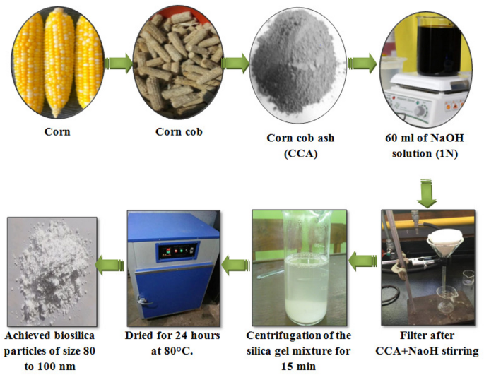 Role of biomass waste corn cob derived Biosilica on and bamboo fiber ...