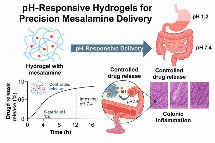 Design, optimization, and evaluation of a pH-sensitive hydrogel system for colon-targeted mesalamine delivery | Polymer Bulletin | Springer Nature Link Design, optimization, and evaluation of a pH-sensitive hydrogel system for colon-targeted mesalamine delivery | Polymer Bulletin | Springer Nature Link