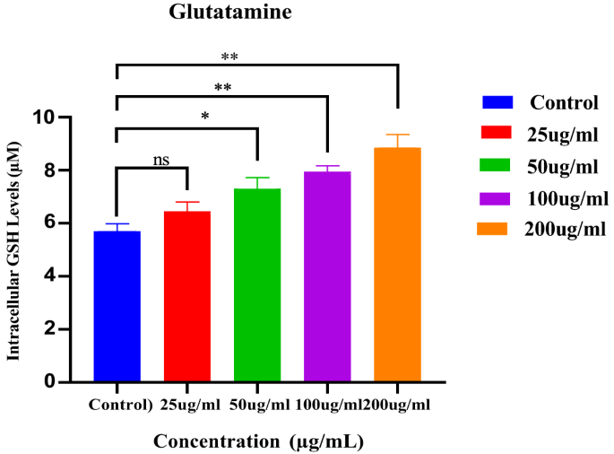 Physicochemical characterization and biocompatibility assessment of silk  fibroin extracted from Bombyx mori | Polymer Bulletin | Springer Nature Link