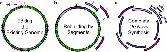 Recode mutations!