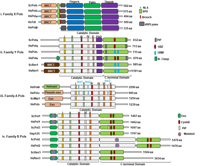 springerlink