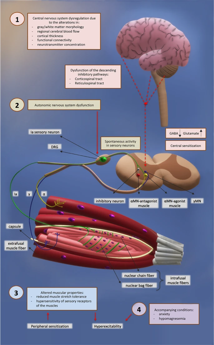 296_2025_5846_Fig1_HTML.png