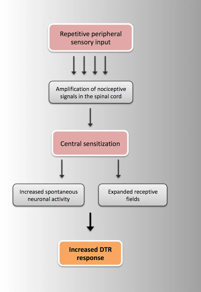 296_2025_5846_Fig2_HTML.png
