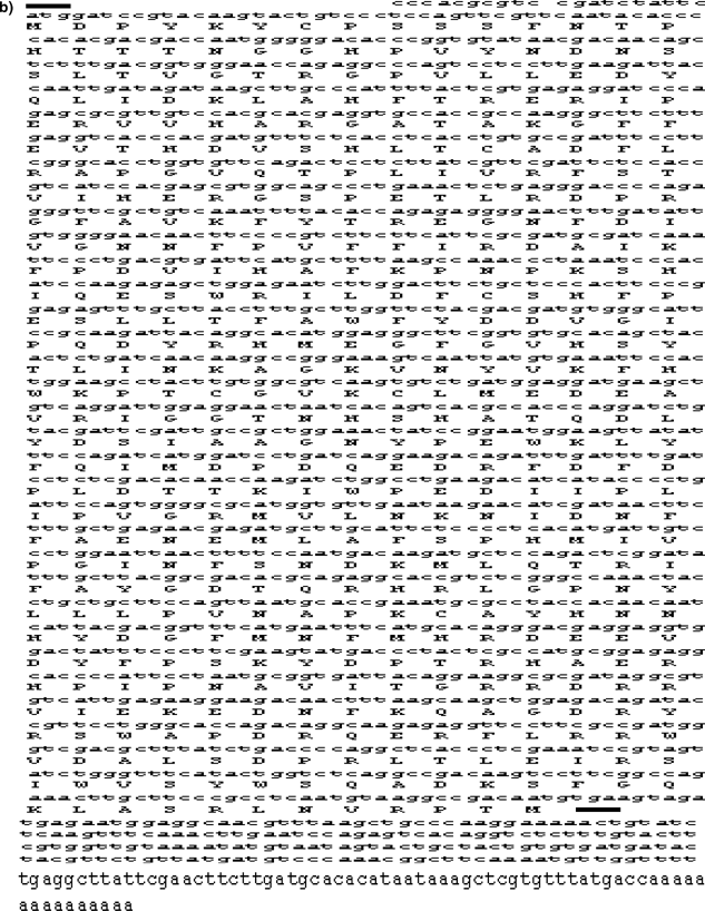 Monitoring Expression Profiles Of Antioxidant Genes To Salinity Iron Oxidative Light And Hyperosmotic Stresses In The Highly Salt Tolerant Grey Mangrove Avicennia Marina Forsk Vierh By Mrna Analysis Springerlink