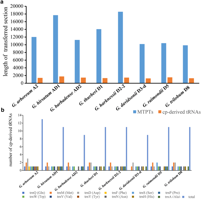 Gene Transfer And Nucleotide Sequence Evolution By Gossypium Cytoplasmic Genomes Indicates Novel Evolutionary Characteristics Springerlink