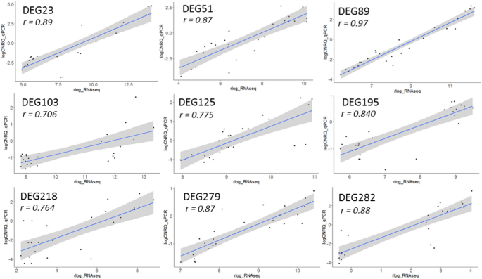 Leaf Transcriptomic Signatures For Somatic Embryogenesis Potential Of Elaeis Guineensis Springerlink