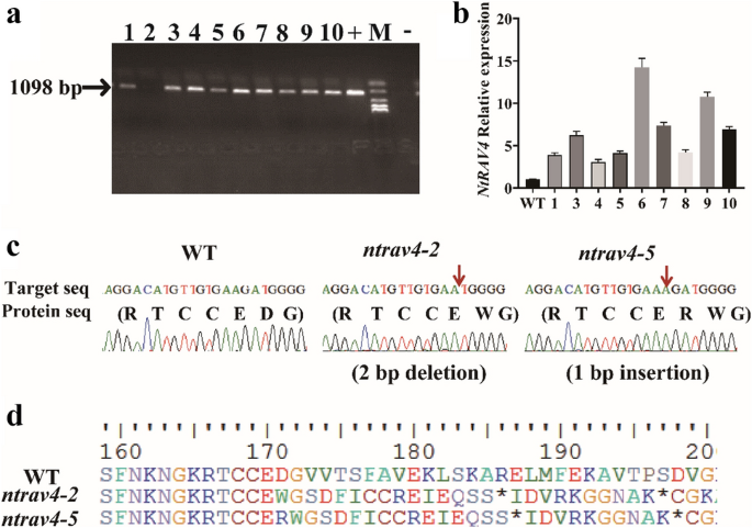 figure 4