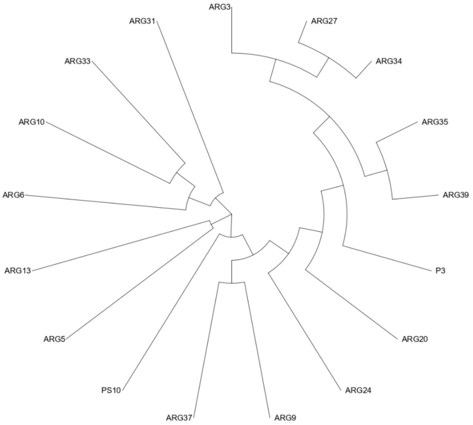 Evaluation of oxidative stress, biochemical parameters and in silico ...