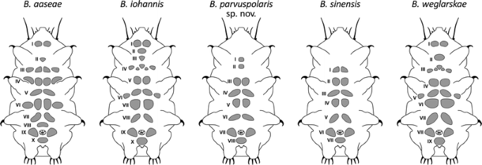 figure 8