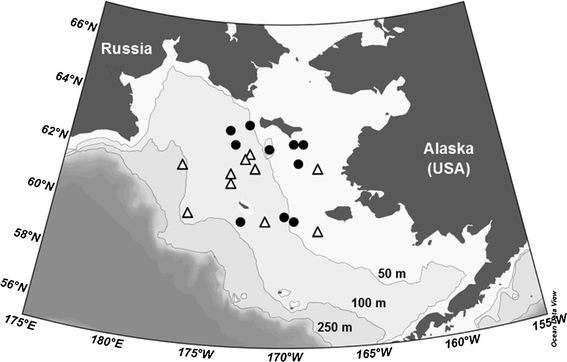 The Diversity Abundance And Fate Of Ice Algae And Phytoplankton In The Bering Sea Springerlink