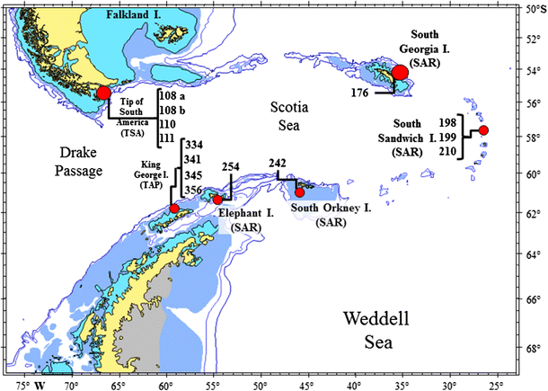 Polychaete Diversity In The Scotia Arc Benthic Realm Are Polychaetes Tracers For Faunal Exchange Springerlink