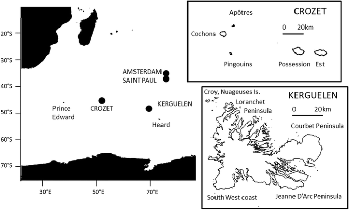 Status And Trends Of Albatrosses In The French Southern Territories Western Indian Ocean Springerlink Status And Trends Of Albatrosses In The French Southern Territories Western Indian Ocean Springerlink