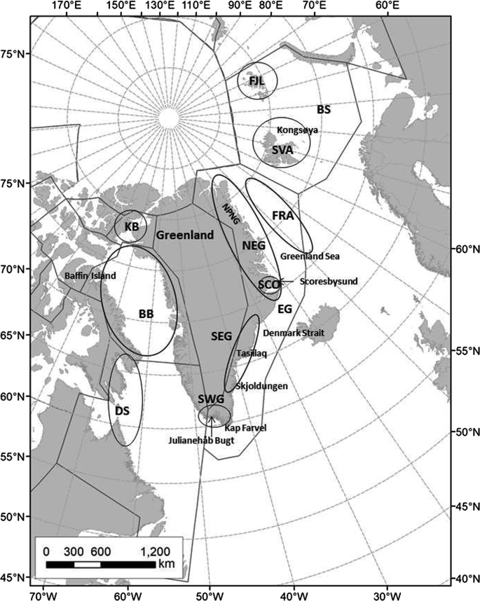 Variation In Non Metrical Skull Traits Of Polar Bears Ursus Maritimus And Relationships Across East Greenland And Adjacent Subpopulations 1830 2013 Springerlink