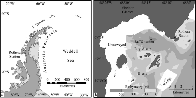Antarctic phytoplankton community composition and size structure ...