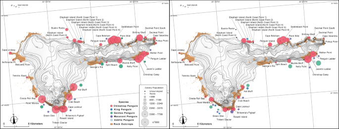 Elephant Island Antarctica Map Fifty-Year Change In Penguin Abundance On Elephant Island, South Shetland  Islands, Antarctica: Results Of The 2019–20 Census | Springerlink