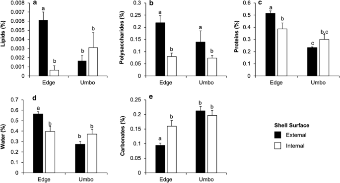 An Intrapopulational Study Of Organic Compounds And Biomechanical Properties Of The Shell Of The Antarctic Bivalve Laternula Elliptica P P King 12 At King George Island Springerlink