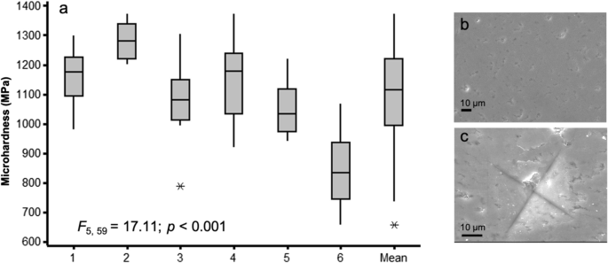 side by side boxplot minitab express psu side by side boxplot minitab express psu