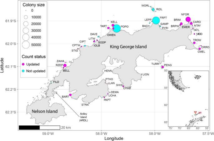 First full census in 45 years of a large colony of breeding penguins at ...