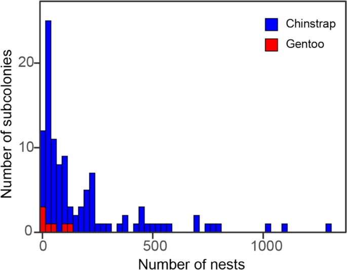 First full census in 45 years of a large colony of breeding penguins at ...
