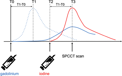 Experimental Feasibility Of Spectral Photon Counting Computed Tomography With Two Contrast Agents For The Detection Of Endoleaks Following Endovascular Aortic Repair Springerlink
